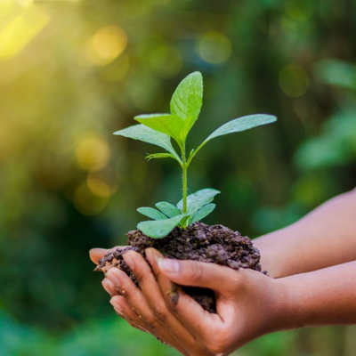 Habitos Sustentables