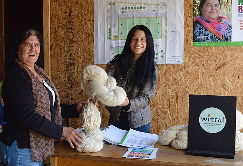 Taller de Telar Cuadrado con Lorena — ExpoTeje Santiago